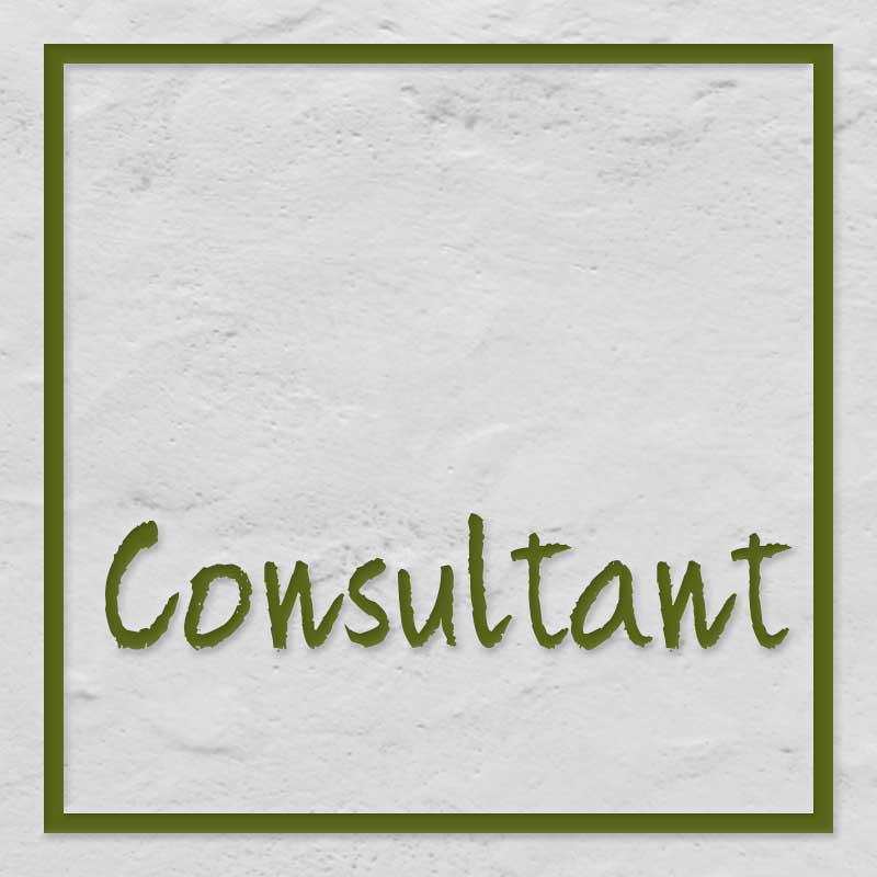 Spa_Consult
