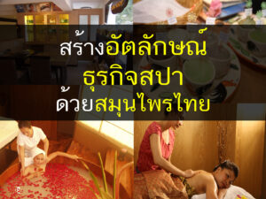 สร้างอัตลักษณ์ธุรกิจสปาด้วยสมุนไพรไทย, สมุนไพรไทย, สมุนไพร, สปา, ธุรกิจสปา, นวด, ร้านนวด, เปิดโรงเรียนสปา ,สอนสปา, เรียนสปา
